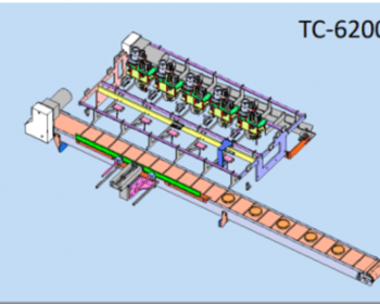 TC-6200 감귤 슬라이스 탈피기계